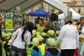Ekocentrum a záchranná stanice pro zraněné živočichy Huslík (6)