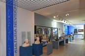 Technické muzeum v Brně – hlavní budova v Brně – Králově Poli (5)