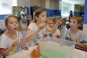Technické muzeum v Brně – hlavní budova v Brně – Králově Poli (9)
