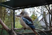 Zoopark Zájezd (7)