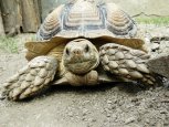 Zoopark Zájezd (5)