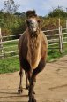 Zoopark Zájezd (4)