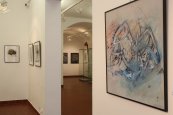 Galerie výtvarného umění v Havlíčkově Brodě (5)