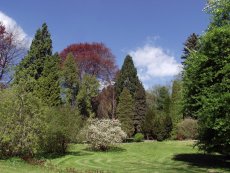 Arboretum Bílá Lhota