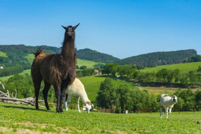 Farmapark Soběhrdy